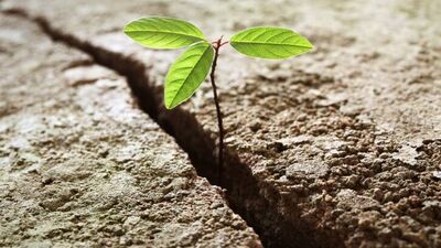 Yeni fırsatlar bizi bekliyor!