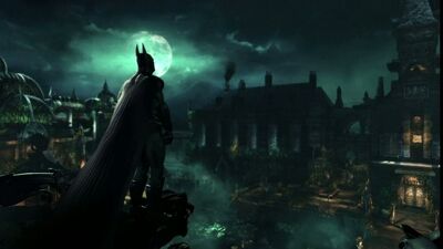 Gece kuşlarının daha verimli olmasının 5 sebebi