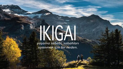 Her dile lazım 14 Japonca kelime!