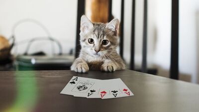 Şanslı bir hafta başlıyor!