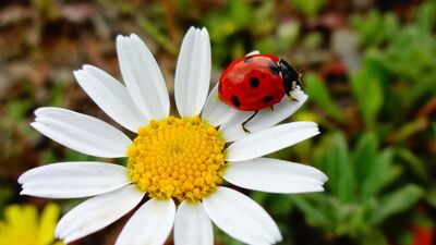 Temmuz ayına şanslı giriyoruz!
