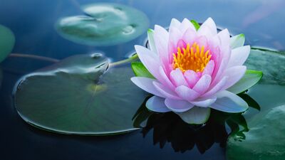 Ne kadar para kazandığınızdan daha önemli 8 şey