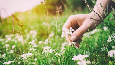 Gerçekten özgür olmanın formülü