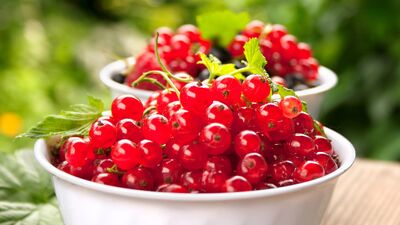 Kuş üzümünün faydaları...