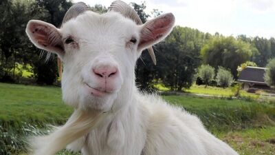 Bu hafta çekişmelere dikkat!