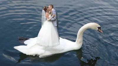 Böyle olur Rus'un düğünü!