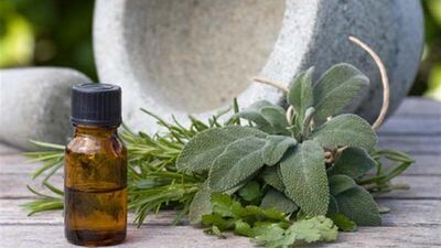 Ah şu sinek ısırıkları!