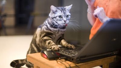 İş konularında olumlu bir gün!