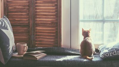 Minimalist bir hayat yaşamanın faydaları...