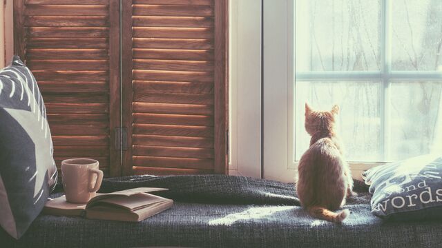 Minimalist bir hayat yaşamanın faydaları...