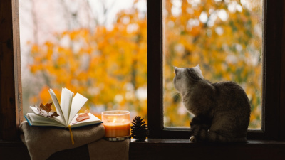 Minimalist bir hayat yaşamanın faydaları...