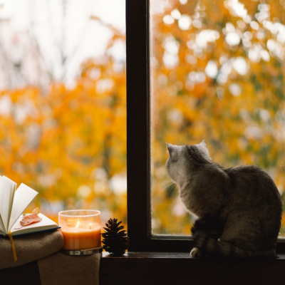 Minimalist bir hayat yaşamanın faydaları...