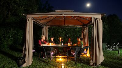 Sivrisinekler adam mı seçiyor?