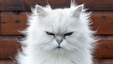 Bugün kolay sinirlenebiliriz