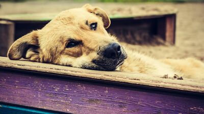 Duygularınızın esiri olmayın!
