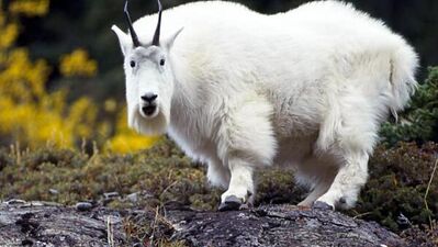 İnsan vücuduna dair şaşırtıcı gerçekler