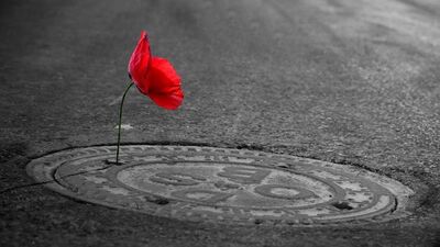 Umutsuzluğa hiç gerek yok...