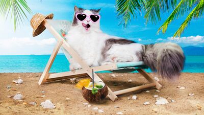 Tatilden kilo almadan dönmenin yolları