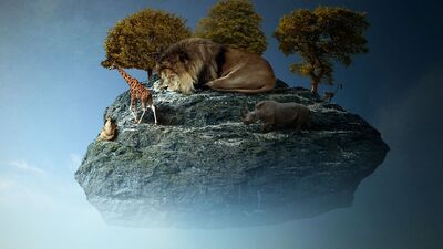 Gerçeküstü bir dünya!