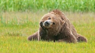 Bu hafta nasıl geçecek?