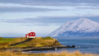 Gitmesek de görmesek de o ev bizim evimizdir!