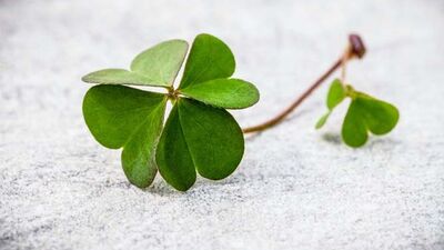 İkinci evliliğimde farklı yapacağım 10 şey