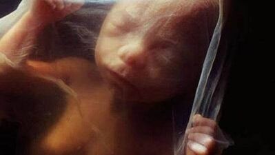 Bir bebek nasıl oluşur?