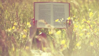 Sessiz ve sakin bir gün...