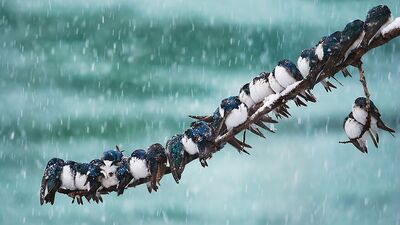 Sarılalım sıkı sıkı