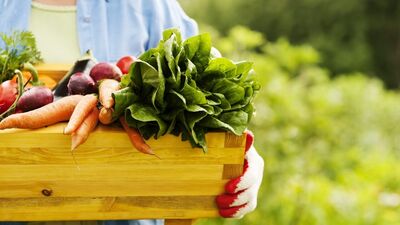 Maçka'da organik yaşam festivali