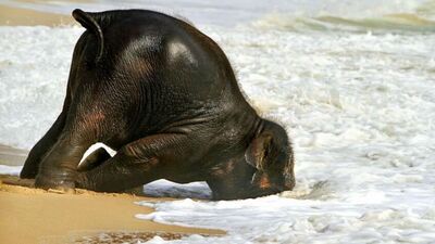 Haftanın en zor günü!