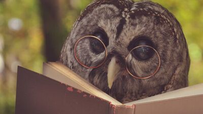 Bu hafta nasıl geçecek!