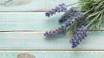 Ev yapımı lavanta aromalı parfüm