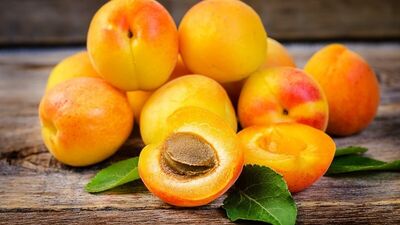 Doğum lekelerin ilacı kayısı reçinesi