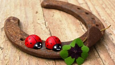 Bugün çok şanslı bir gün!