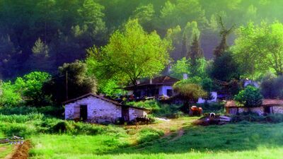 İçinden anne geçen coğrafya: Hopa'ya ağıt