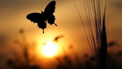 Bugün ruhumuz özgür!