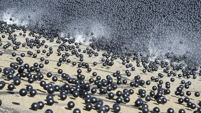 Los Angeles'ın barajlarını bu toplar koruyacak!