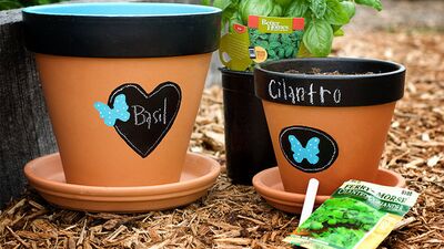 Saksılar dile gelsin!