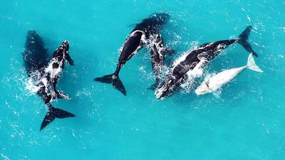 Dünyanın en tehlikeli plajları