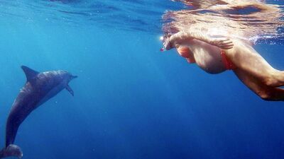 Dorina Rosin denizde doğum yapacak!