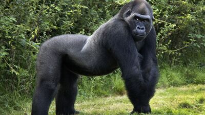 Duyduk duymadık demeyin!