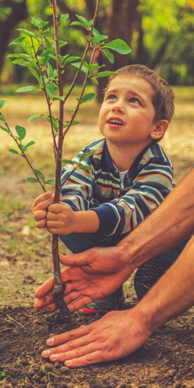 Montessori’den çocuk yetiştirmeye dair 19 tavsiye