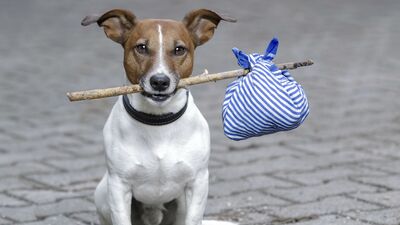 En sık yapılan seyahat hataları