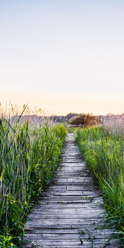 Doğada yürümek ruh sağlığınıza iyi geliyor
