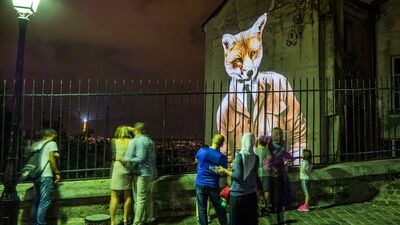 Paris'in vahşi duvarları
