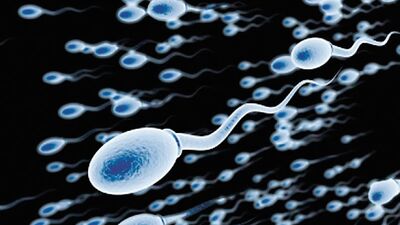 Yapay insan spermi üretildi!