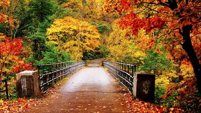 Google'ın yeni Doodle'ı Sonbahar Ekinoksu!