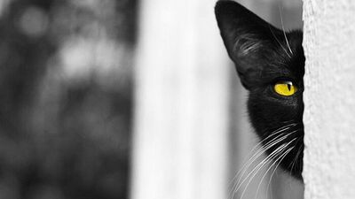 Bize has batıl inançlar