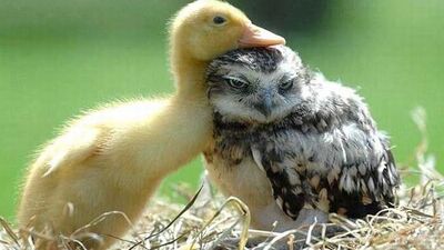 Yeni insanlarla tanışmak için harika bir gün